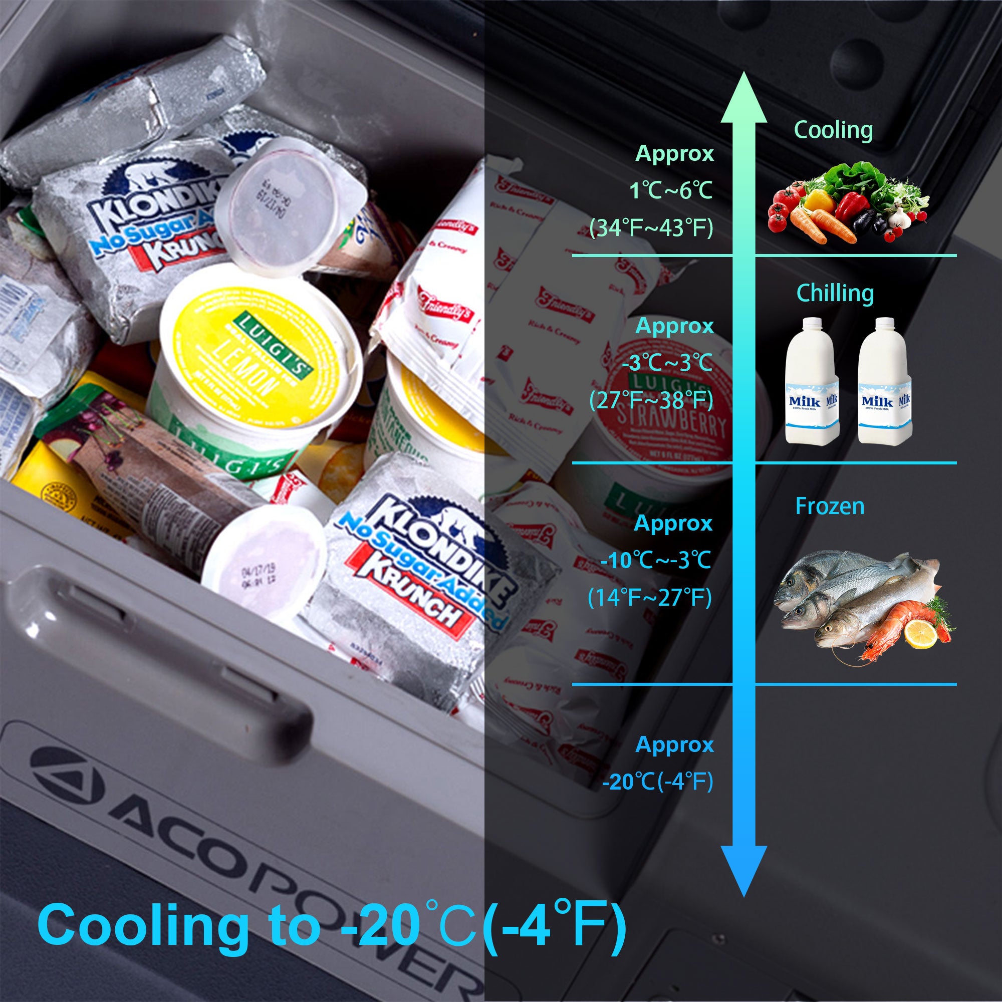 LionCooler X50A Portable Fridge Freezer Cooler, 52 Quart Capacity, Used Like New